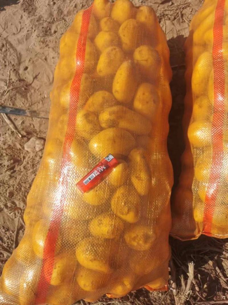 小土豆中货，黄皮黄心土豆，沙漠土豆上市了，货源充足，价格美丽