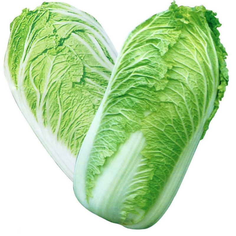 玲珑黄白菜苗青杂三号白菜苗黄心白菜苗白菜苗包回收