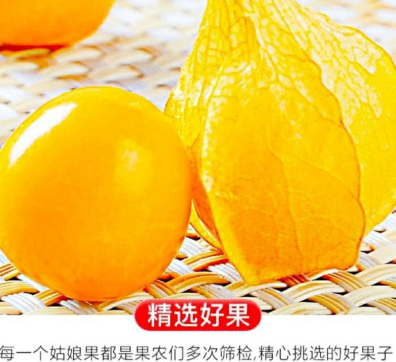 农家姑娘果黄姑娘果灯笼果果香浓郁香甜多汁包邮