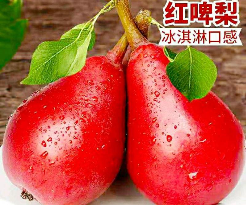 新鲜红啤梨当季节水果色泽红润香甜软糯多汁包邮