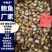 鲍鱼肉【福建鲍鱼工厂】酒店自助餐食材佛跳墙批发