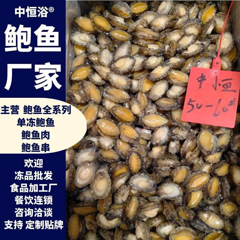 鲍鱼肉【福建鲍鱼工厂】酒店自助餐食材佛跳墙批发