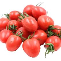 圣女果樱桃小番茄西红柿营养丰富