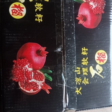 大凉山会理软籽石榴