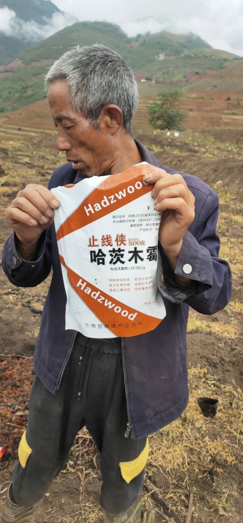 专治根结线虫根腐套餐内含枯草芽孢杆菌哈茨木霉菌淡紫拟青霉