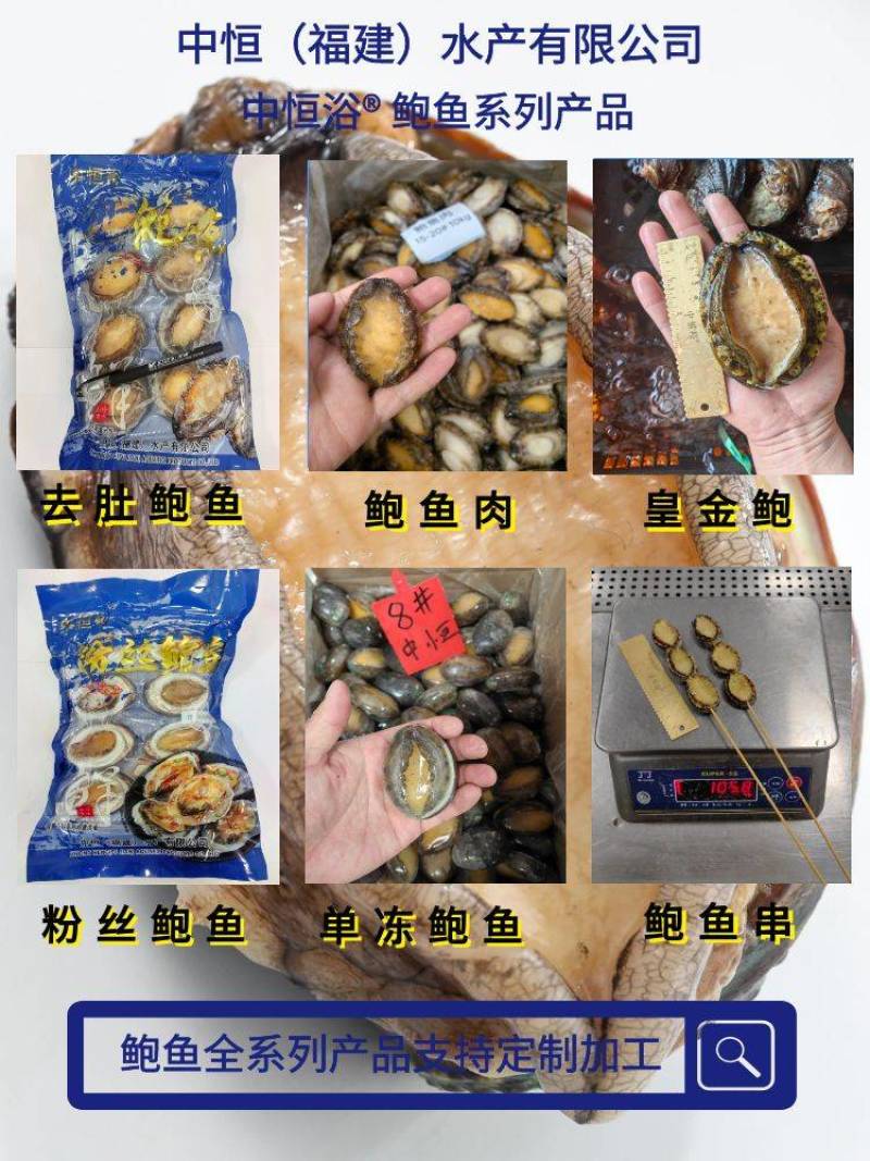 粉丝鲍鱼【福建鲍鱼厂家】鲍鱼批发自助餐食材批发鲍鱼