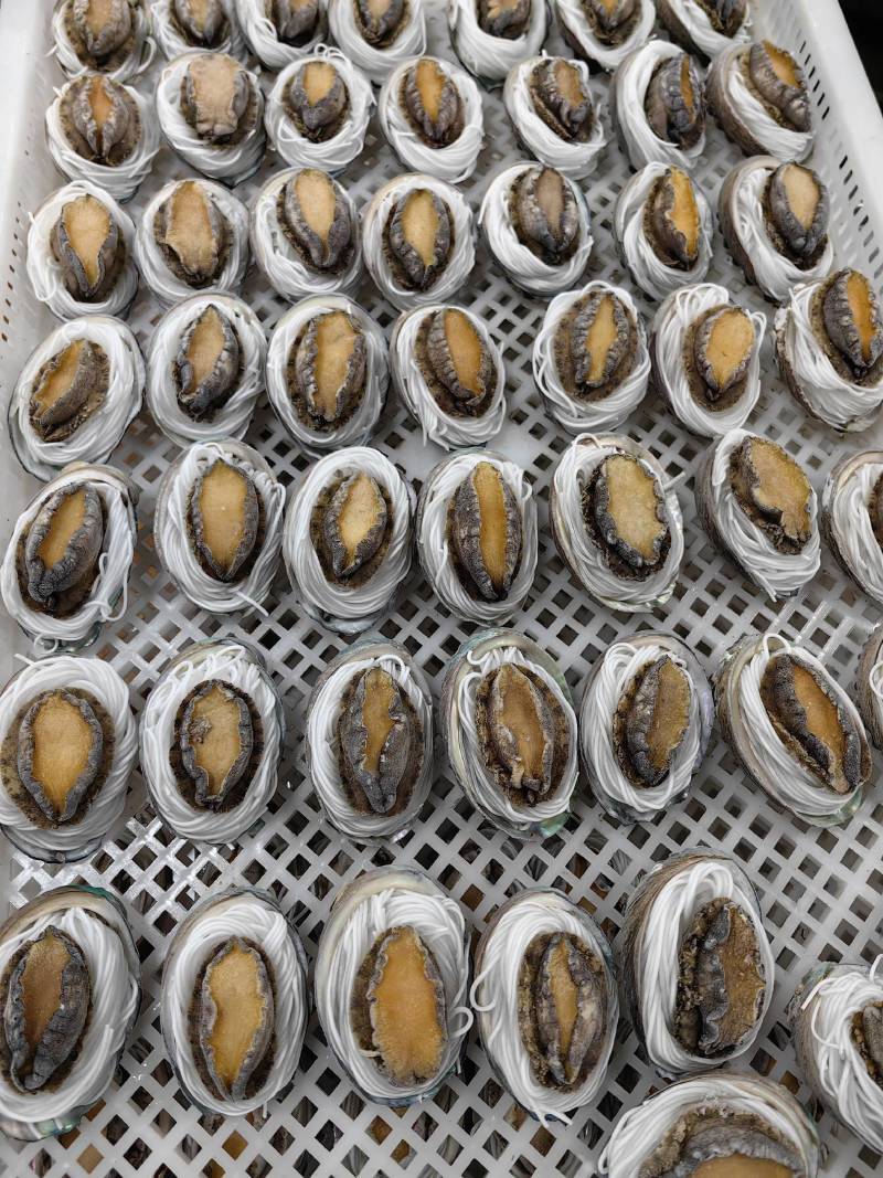粉丝鲍鱼【福建鲍鱼厂家】鲍鱼批发自助餐食材批发鲍鱼