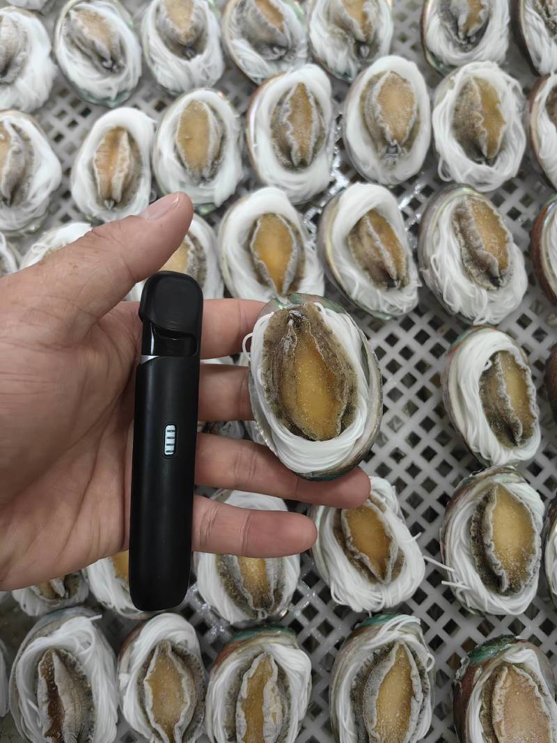 粉丝鲍鱼【福建鲍鱼厂家】鲍鱼批发自助餐食材批发鲍鱼