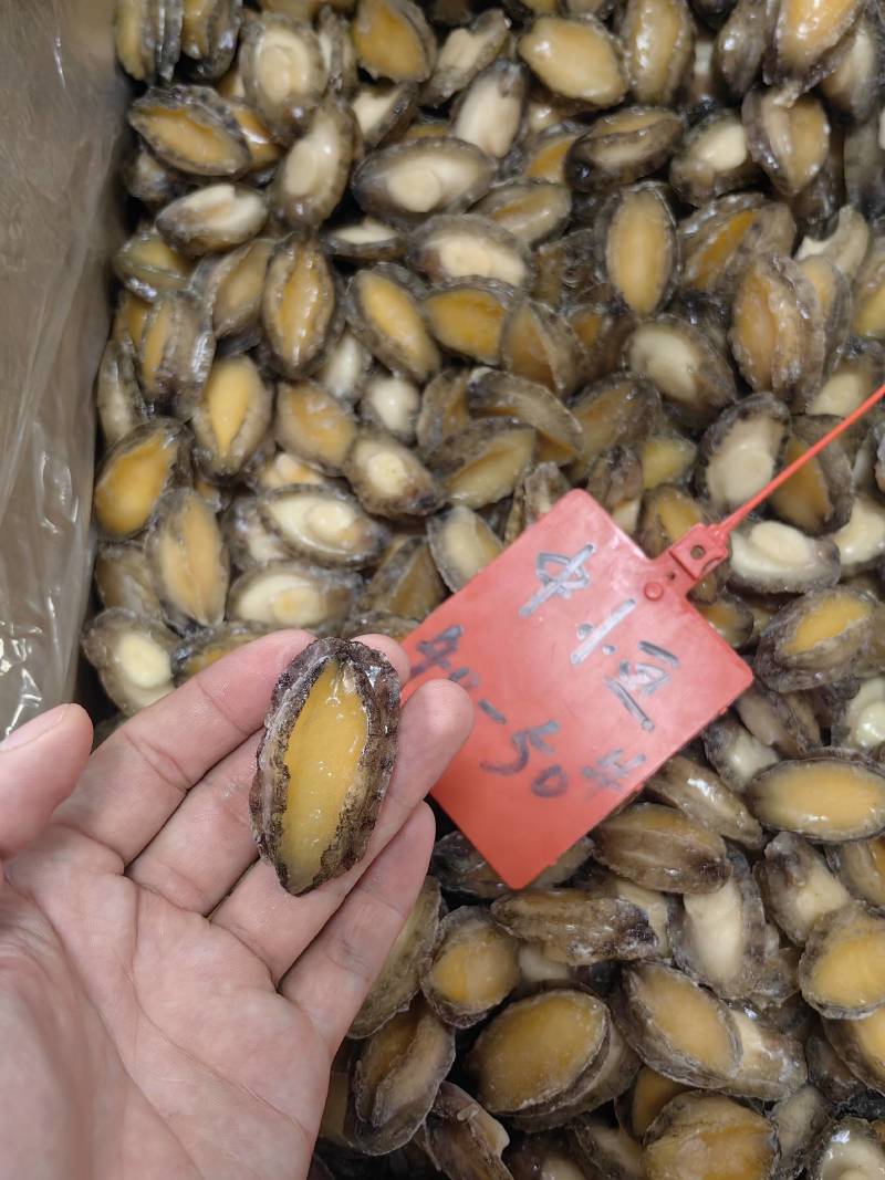 鲍鱼肉【鲍鱼工厂】冻鲍鱼鲍鱼净肉全规格活鲍鱼加工