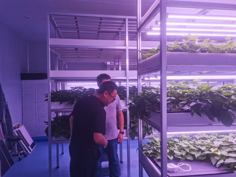 脱毒种苗繁育基地，主要品种有，大叶红颜，红玉，越心，雪兔