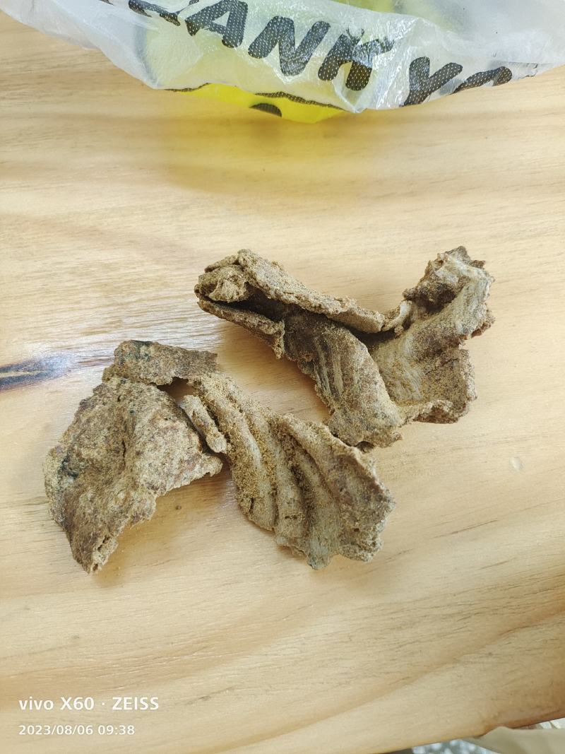 饲料原料猪瓦片