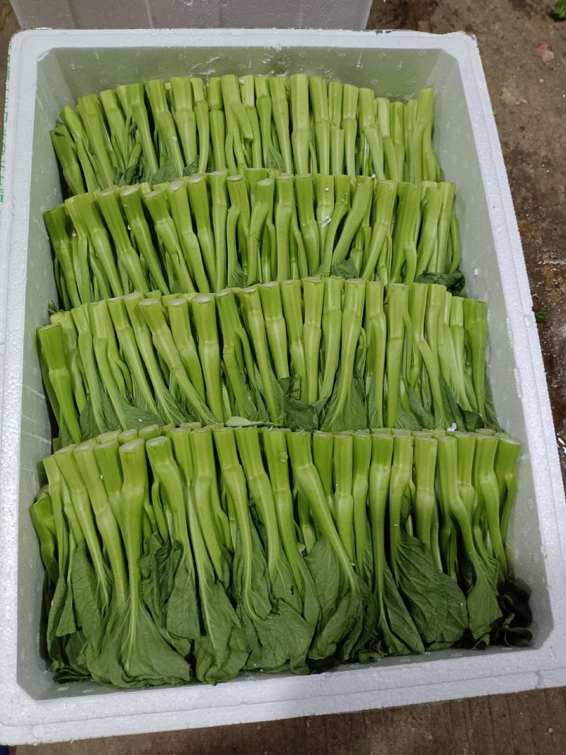 干葱头批发，大中小3种规格，还有去皮干葱头供应。各种粤菜