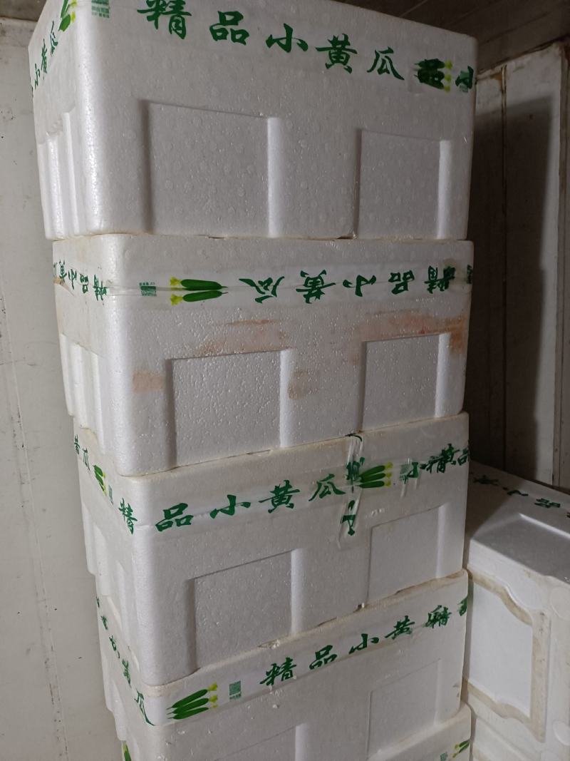 干葱头批发，大中小3种规格，还有去皮干葱头供应。各种粤菜