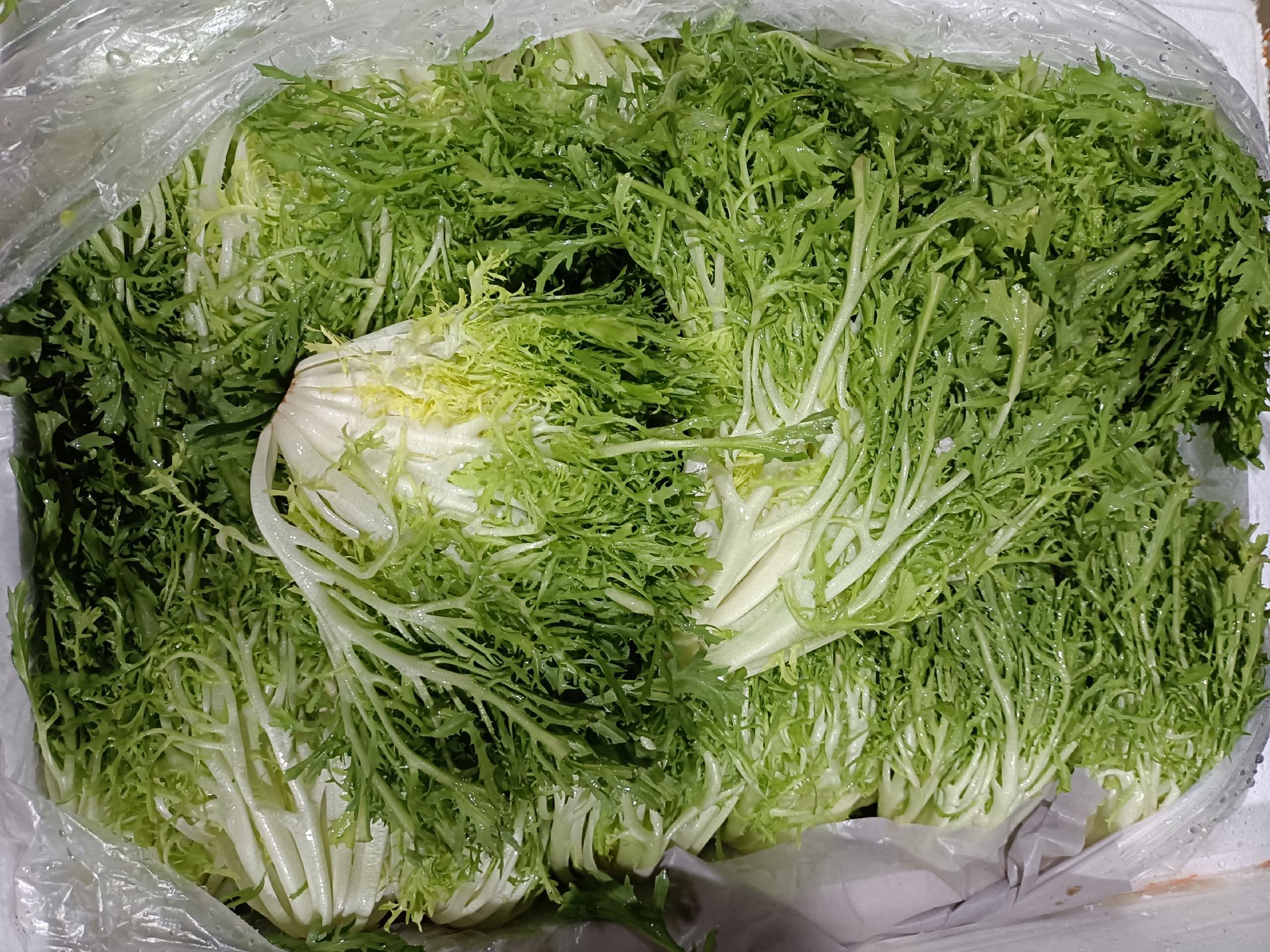 健康蔬菜沙拉