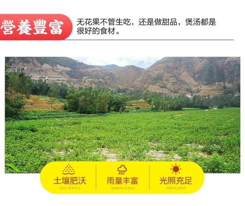 无花果紫皮新鲜云南红皮无花果整箱批发价时令浆果