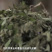 麦酱干粉调味包，厂家直发质量保证，欢迎选购