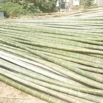 大量楠竹出售，可按要求加工长短尺寸，支持全国发货