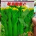 菜心种子粗油青甜菜心菜苔种籽夏秋四季农家田园
