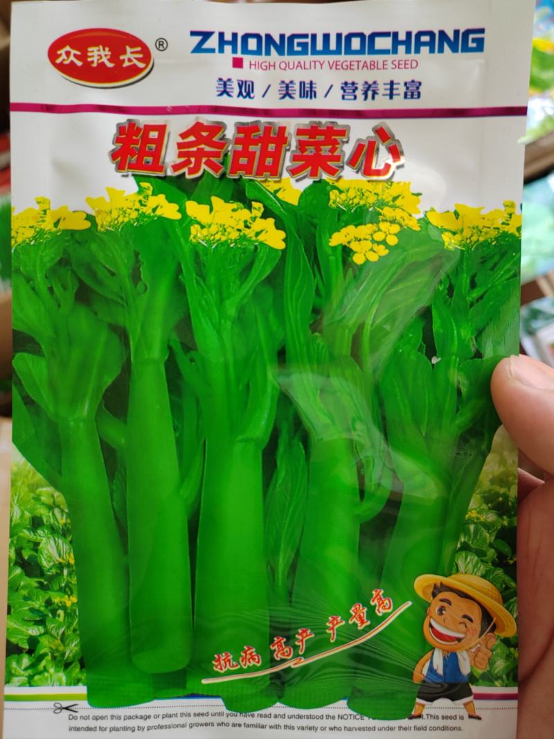 菜心种子粗油青甜菜心菜苔种籽夏秋四季农家田园