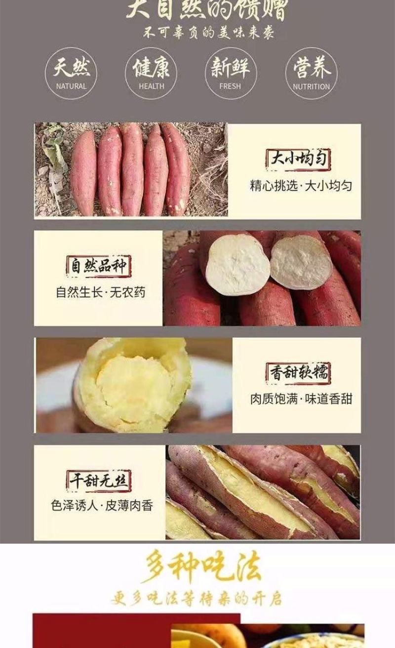山西黄土高坡，秦薯5号，一件代发