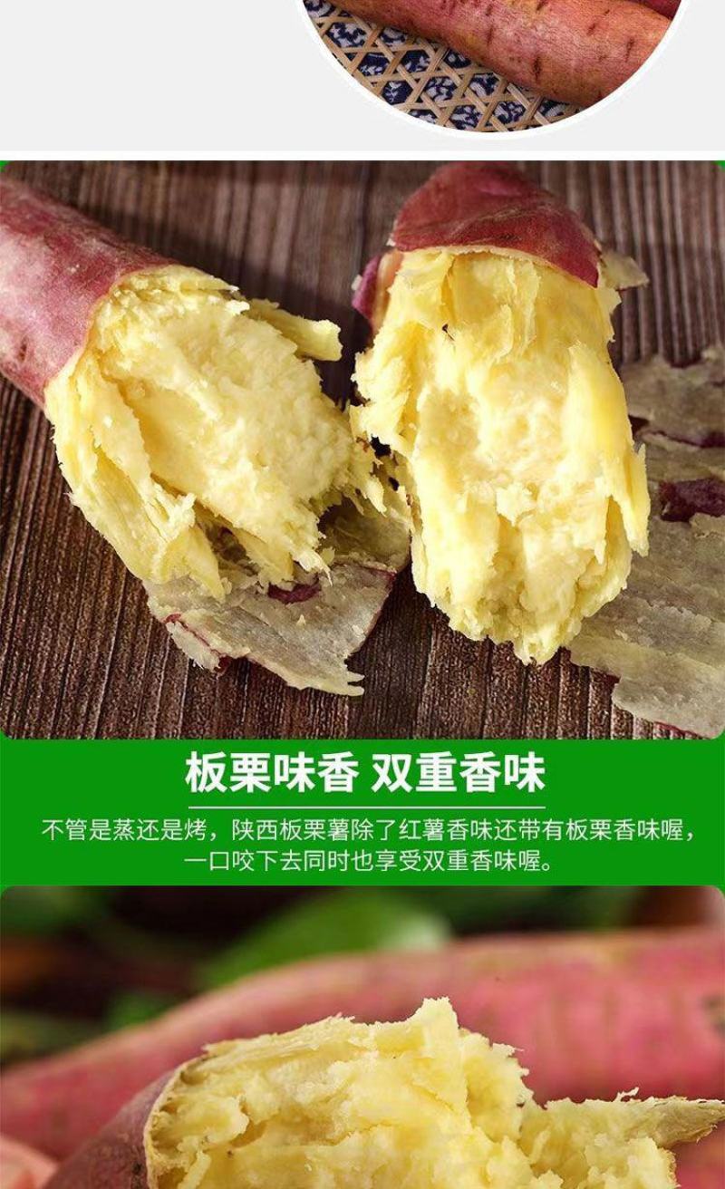 山西黄土高坡，秦薯5号，一件代发