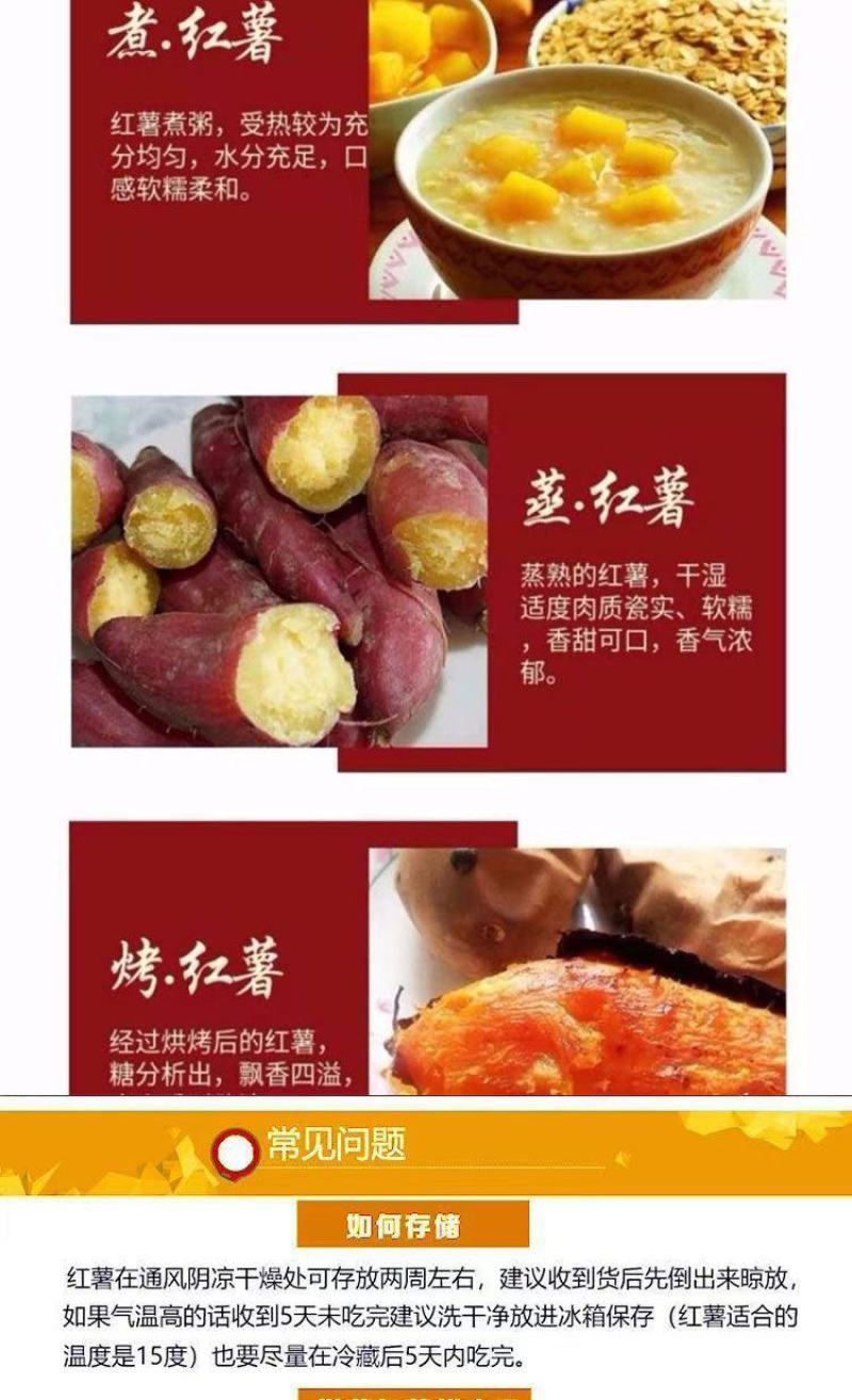 山西黄土高坡，秦薯5号，一件代发