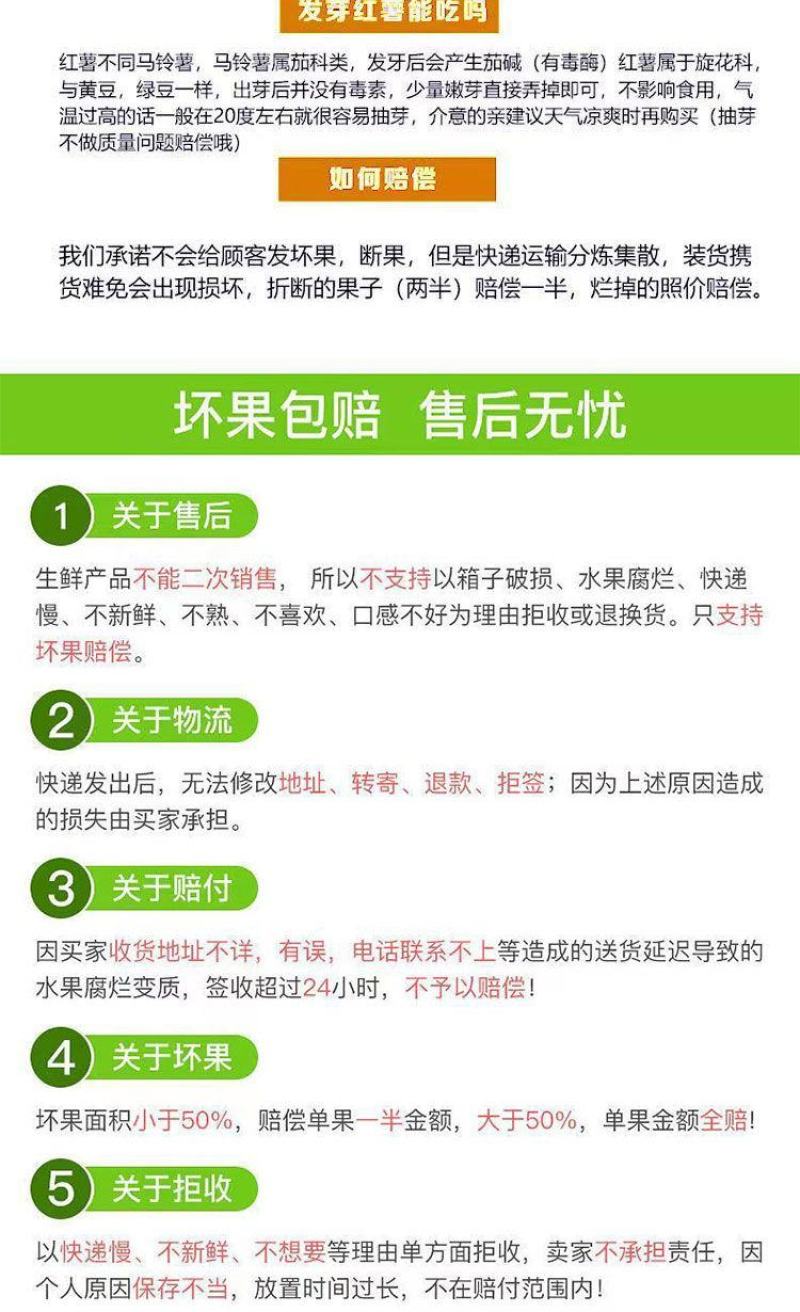 山西黄土高坡，秦薯5号，一件代发