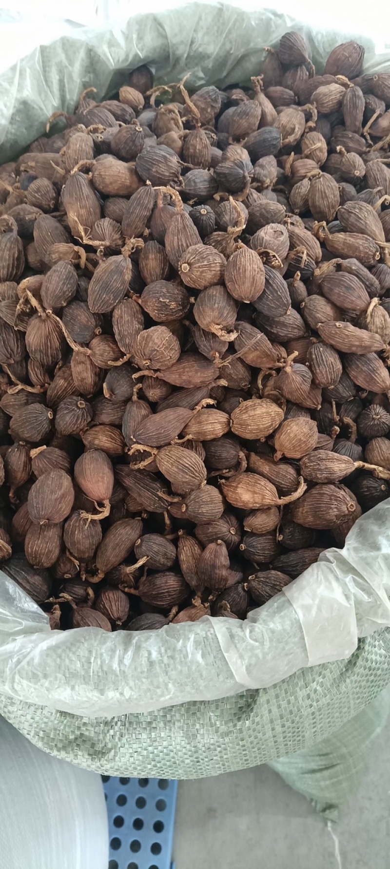 草果处理