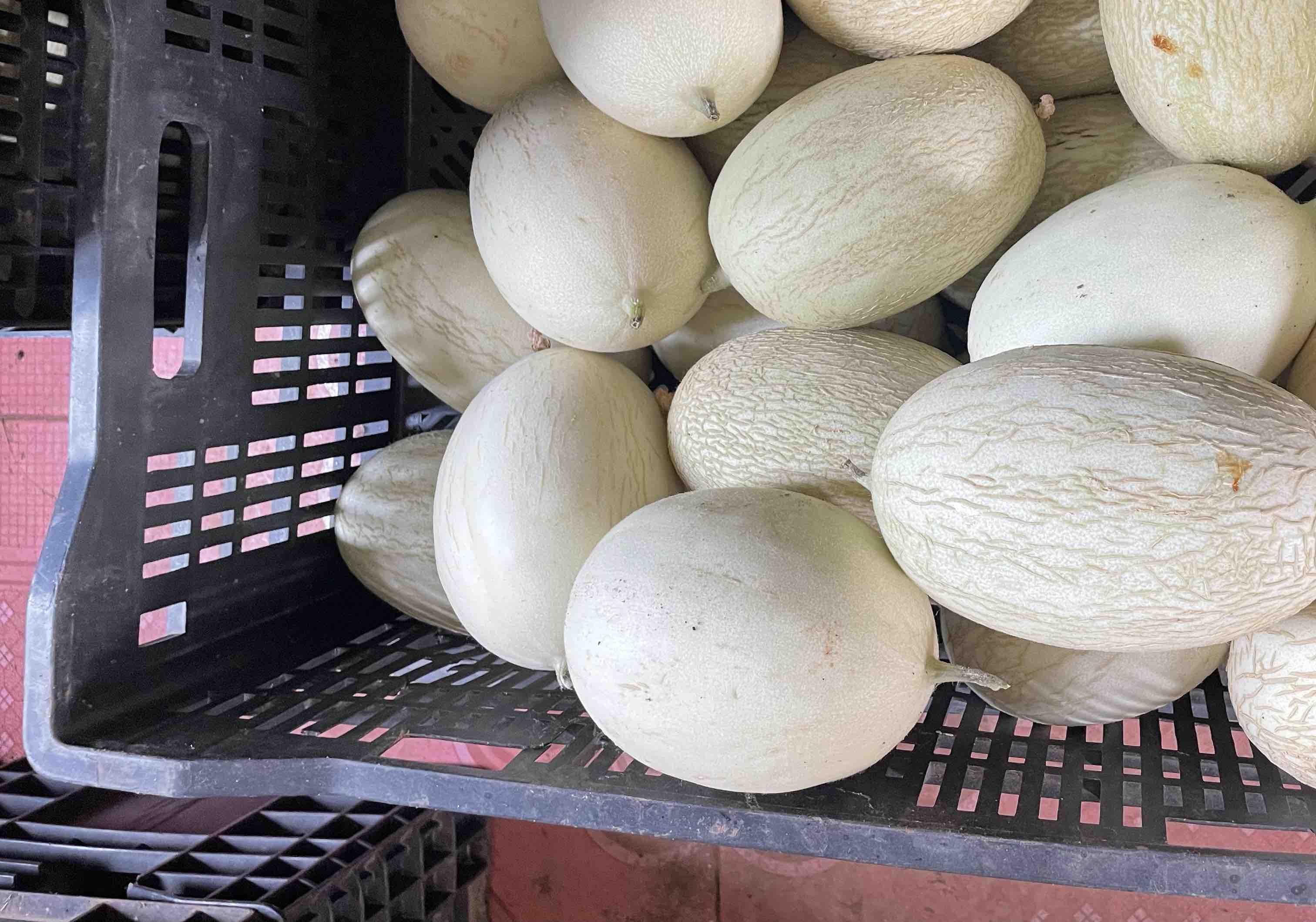 新鲜哈密瓜与切块冷藏保存