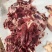 国产牛碎肉