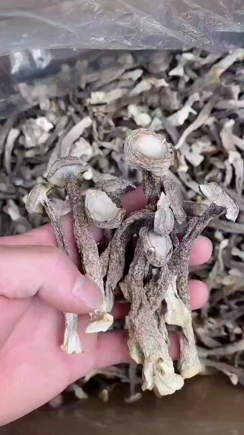 特级，一级的