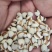 薏仁米贵州优级薏仁米保证质量大量低价批发出厂价