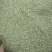 荨麻草