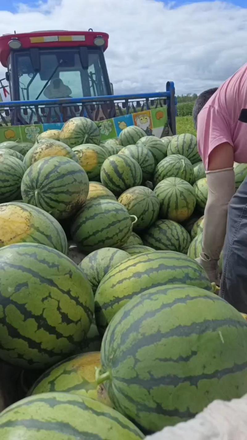 吉林西瓜庆红999大红瓤口感好.产地直发