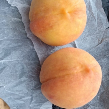 黄金蜜纸代