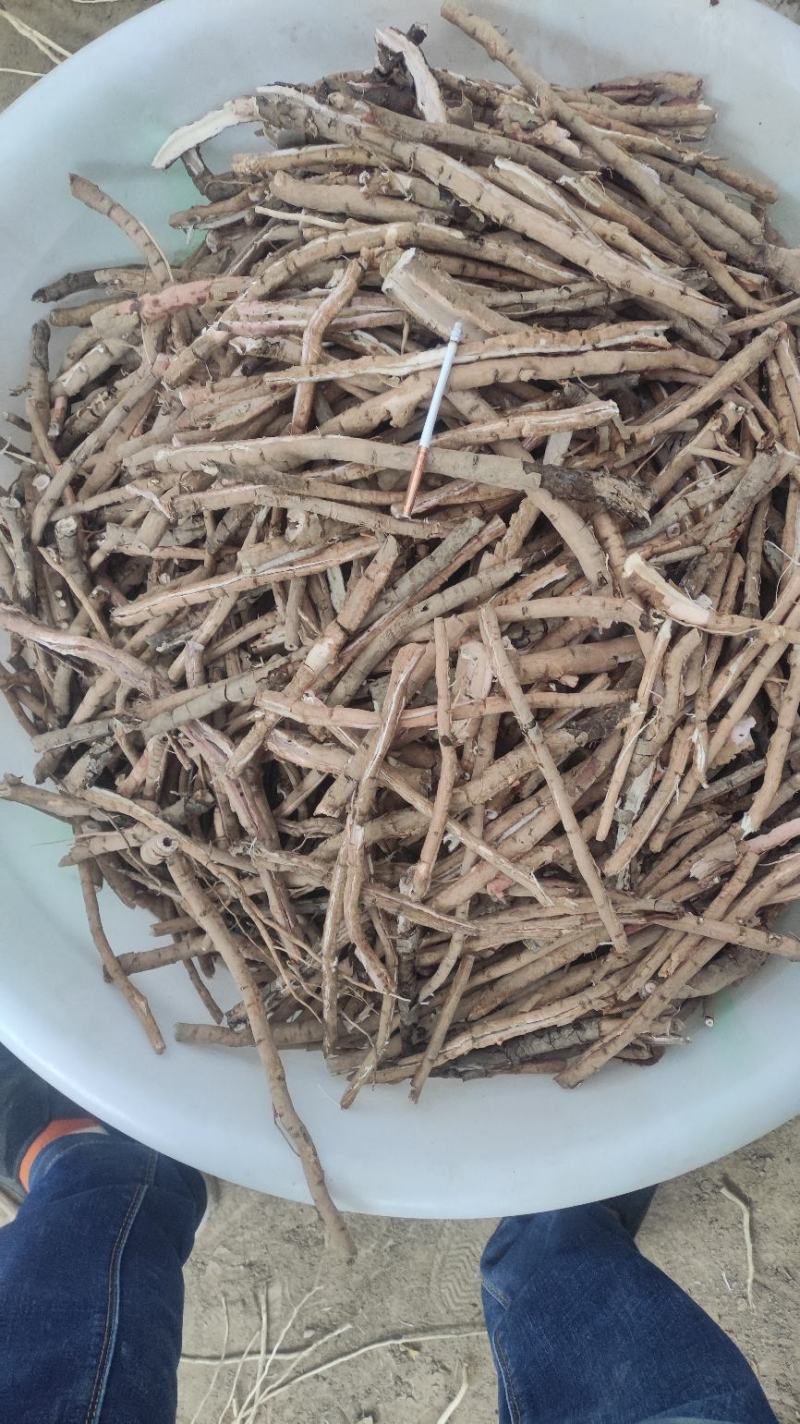 黑丹统，老皮，丹须