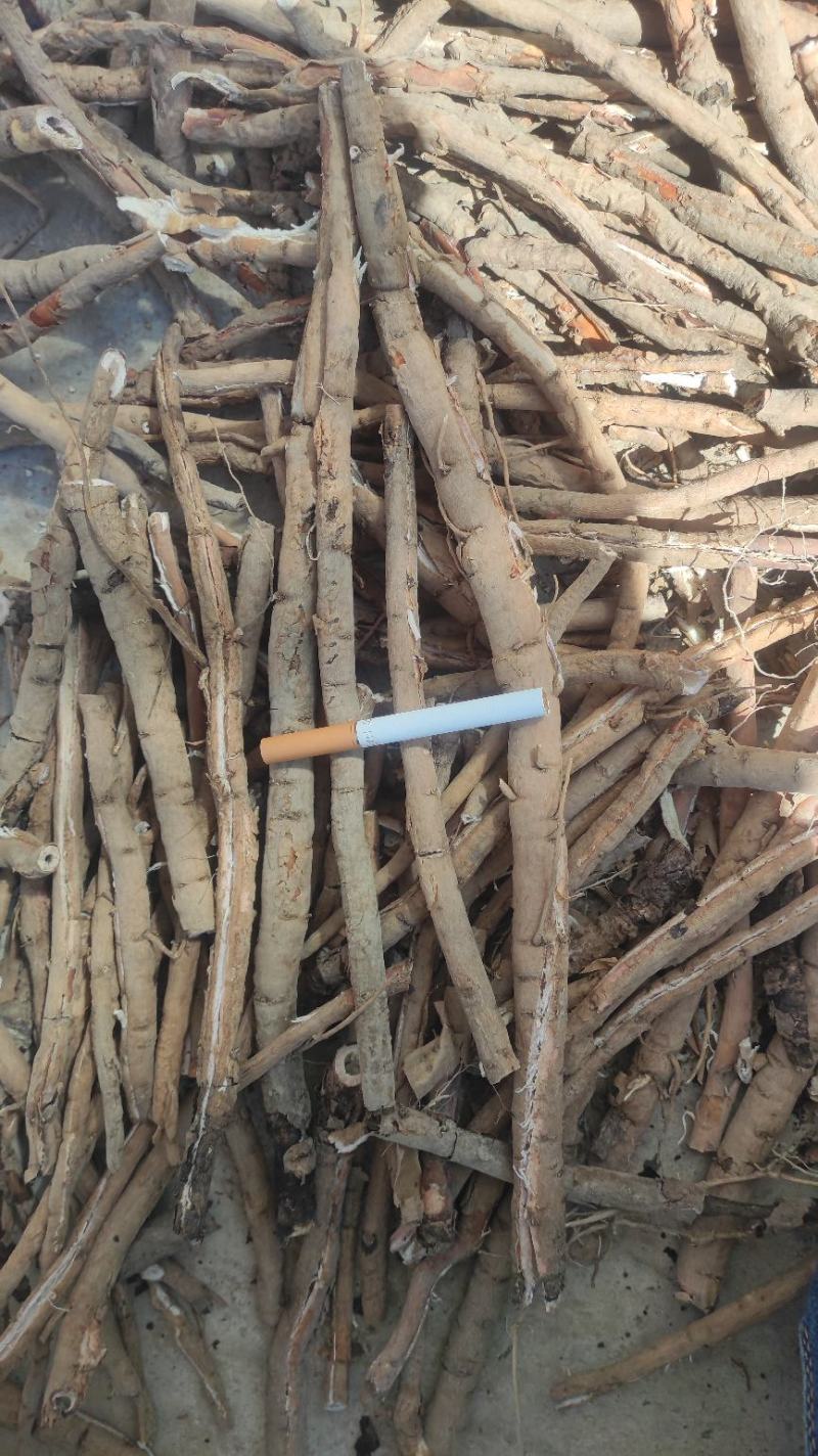 黑丹统，老皮，丹须