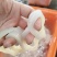 秘鲁鱿鱼残圈边角料
