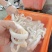 秘鲁鱿鱼残圈边角料