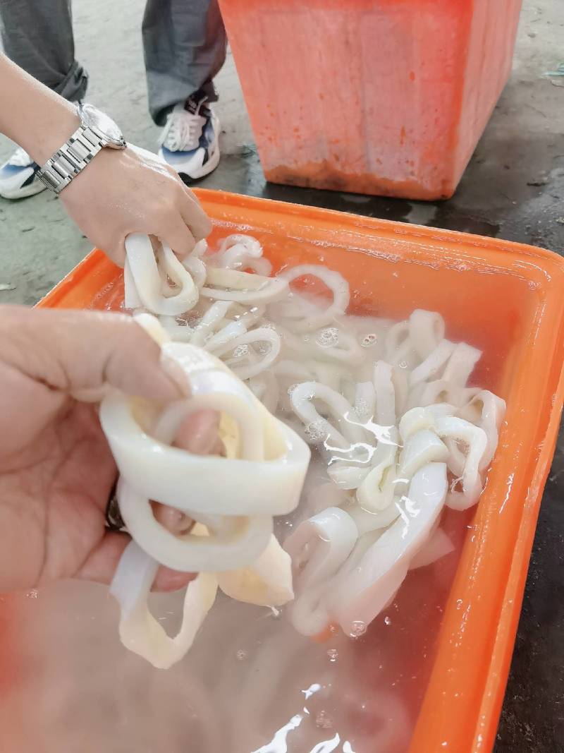 秘鲁鱿鱼残圈边角料