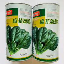 菠菜种子盛菲裂淹圆叶菠菜品种