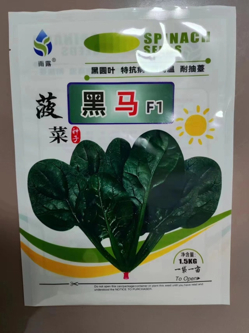 菠菜种子盛菲裂淹圆叶菠菜品种