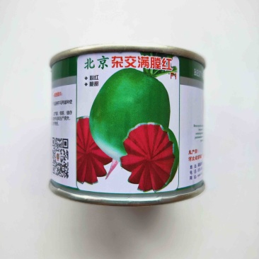 满堂红萝卜种子杂交品种