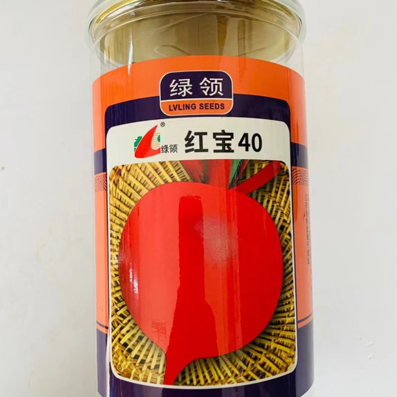 满堂红萝卜种子杂交品种