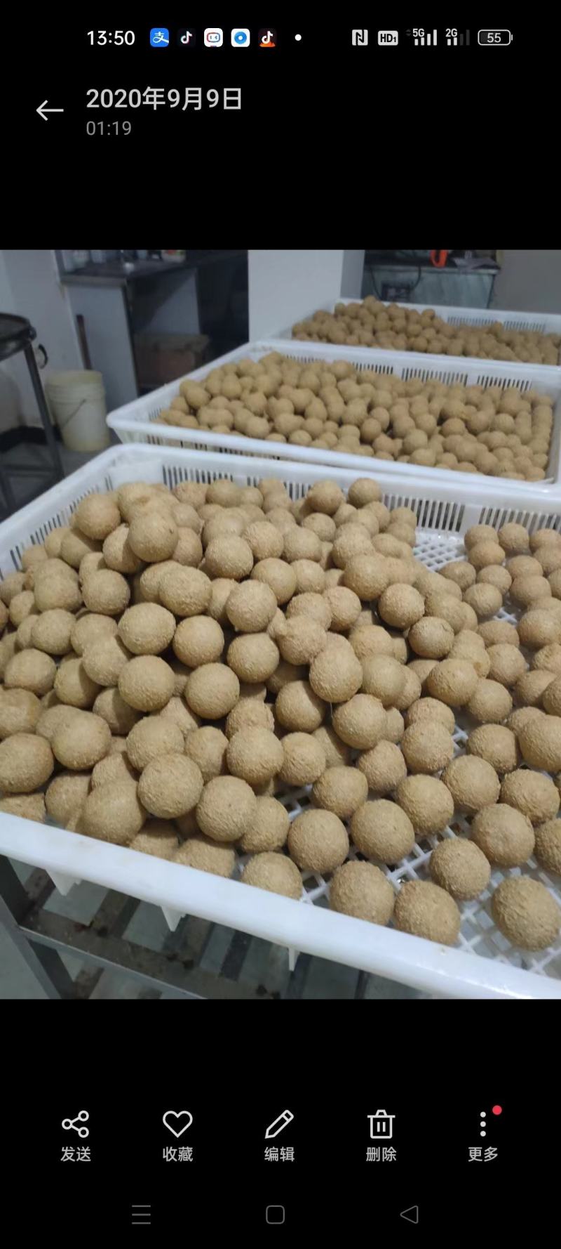 批发各种豆腐