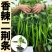 二荆条辣椒苗线椒2号苗辣椒苗香辣二金条辣椒苗包回收