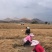 红葱头香葱种子不同品质不同价位量大价优可以一件代发