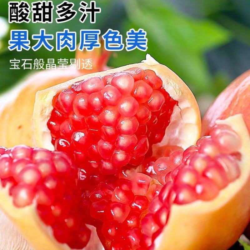 大凉山会理石榴精品电商货一件代发整车