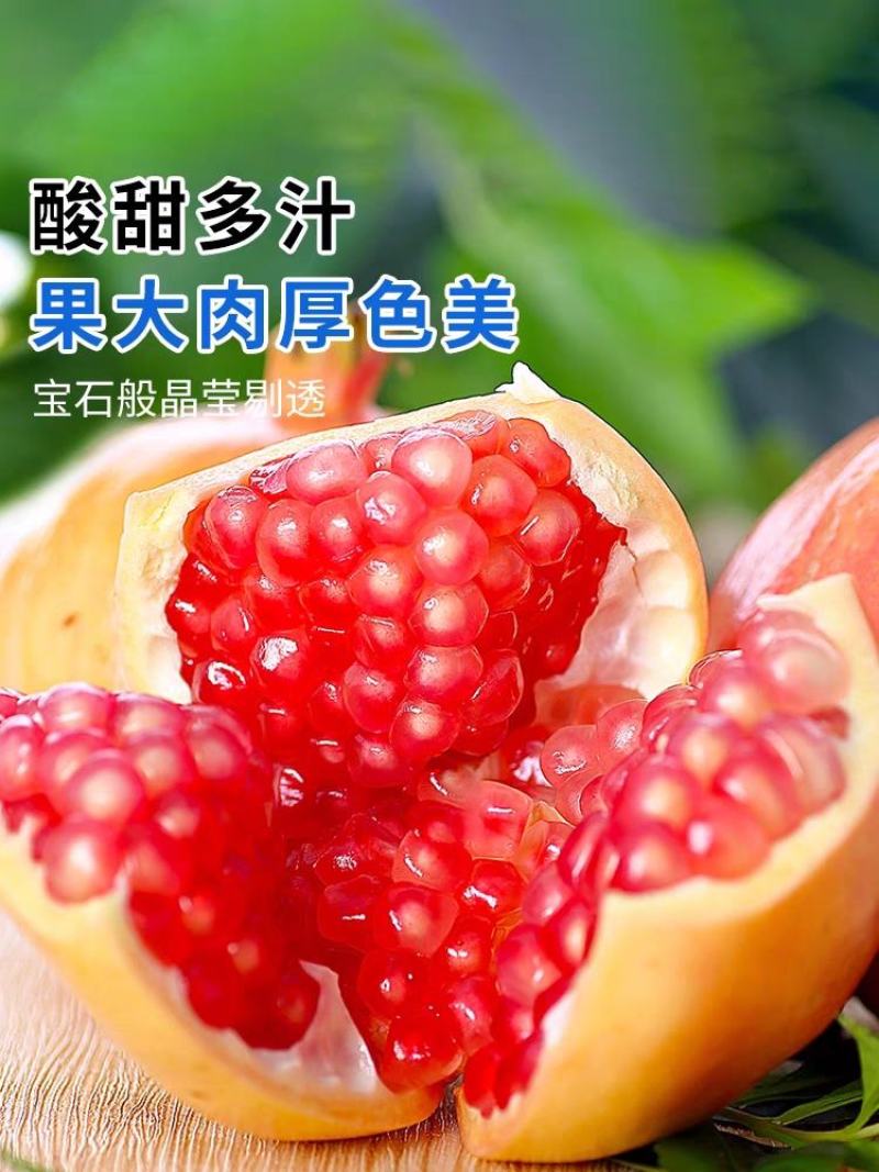大凉山会理石榴精品电商货一件代发整车