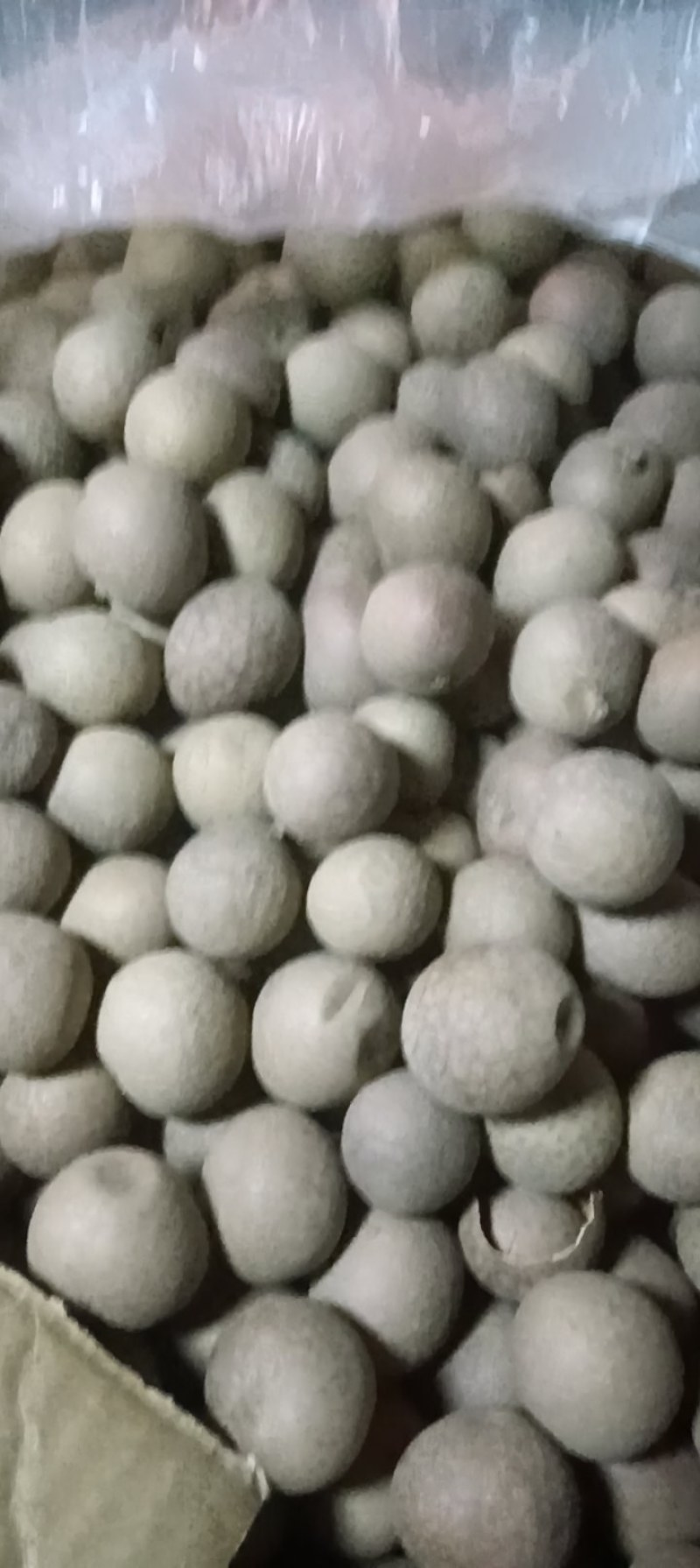 桂圆